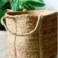 new-product-125x125-1.jpeg
