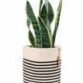 new-product-125x125-4.jpeg