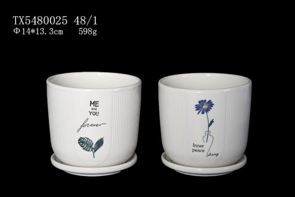 photo-ceramic-planters-tx5480025